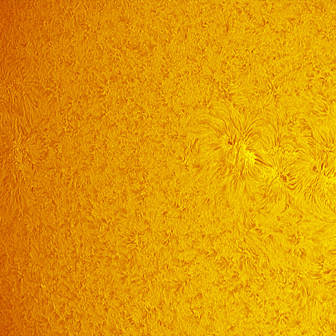 プロミネンスと黒点