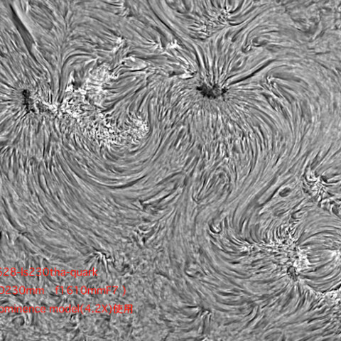 Hα線による黒点周囲