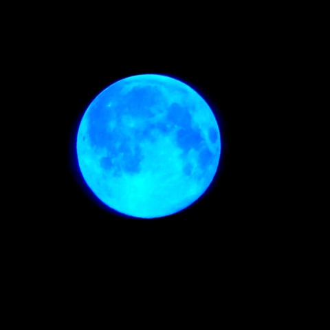 ザ・ブルームーン