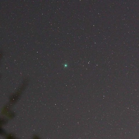 年末のラブジョイ彗星