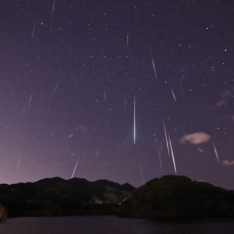 ふたご座流星群（2010年）
