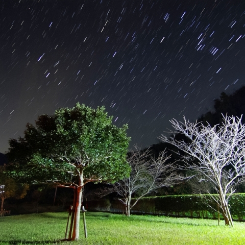 昇るオリオン座