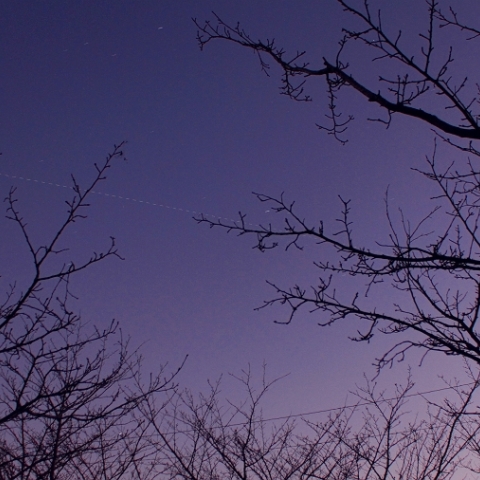 薄明の天宮1号と神舟8号