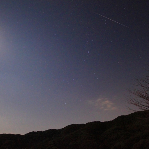 オリオンをまたぐふたご座流星群