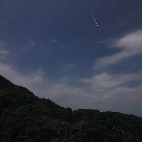 ふたご座流星群