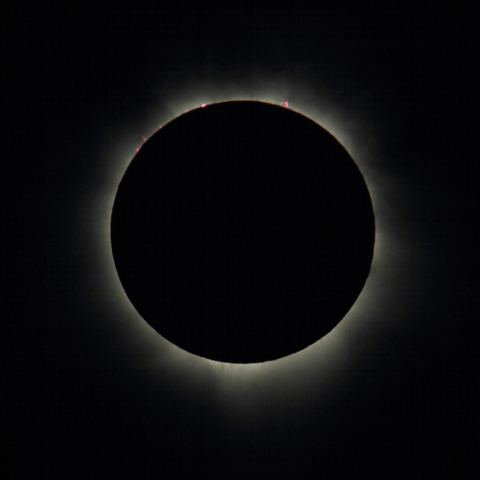 皆既日食　内部コロナとプロミネンス