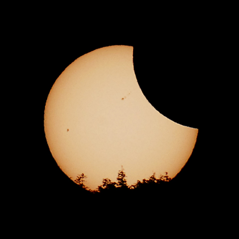 林の中からおはよう