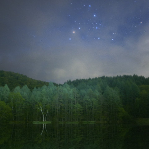 さそりのかくれんぼ