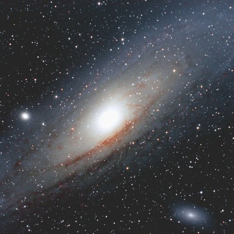 M31