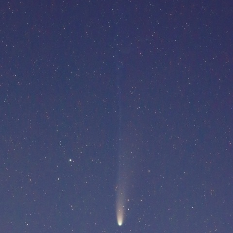 C/2025 A6 レモン彗星