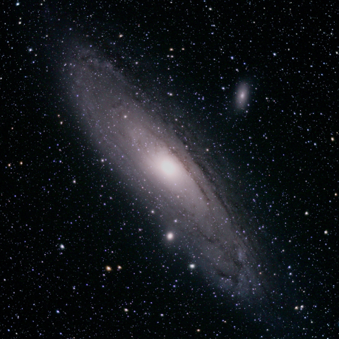 M31