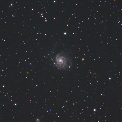 M101付近