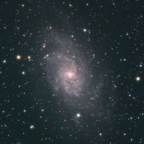 M33