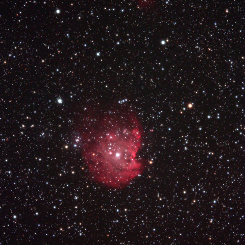 モンキー星雲　NGC2174