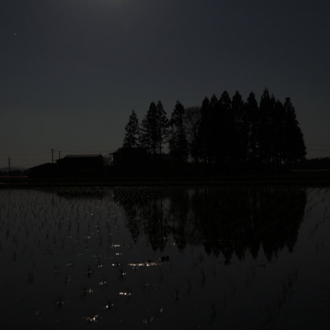 田の面に映る月