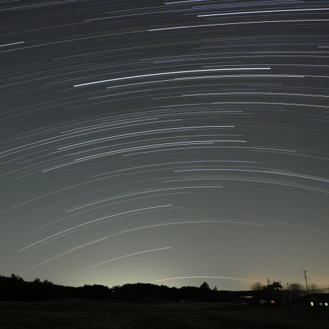 カノープス出没