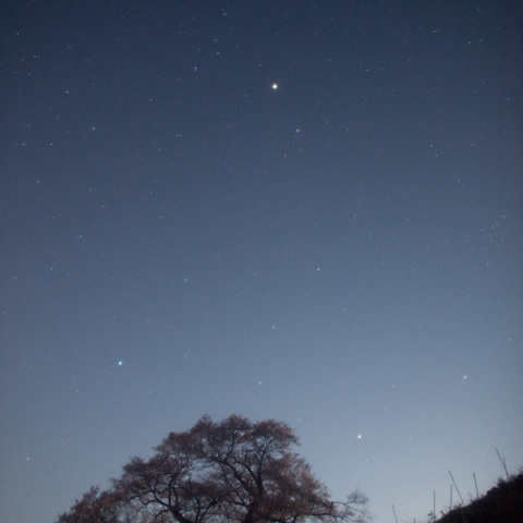 土星と春の一等星