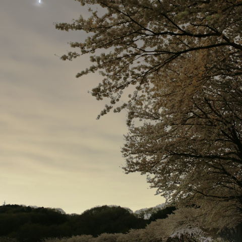 雲越しに、欠けた月