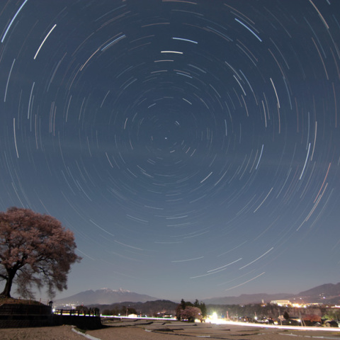 わに塚の桜と日周運動