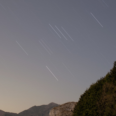 シダレザクラとオリオン