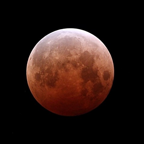 皆既もうすぐ終わる