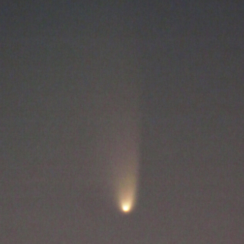 今日のパンこ （03/15）