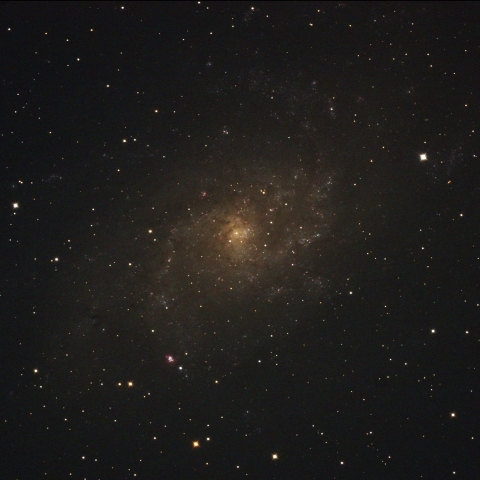 M33