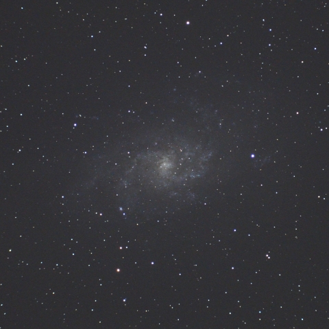 M33