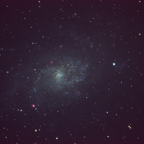 M33