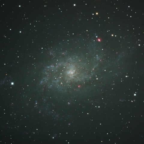 M33