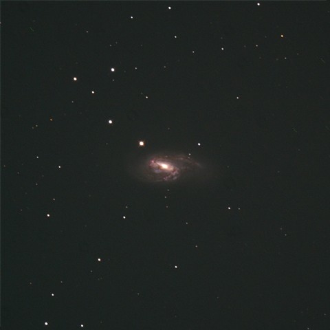 M66