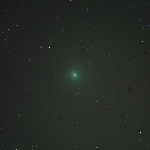 ウィルタネン彗星