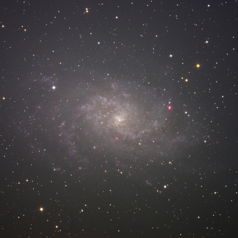 M33