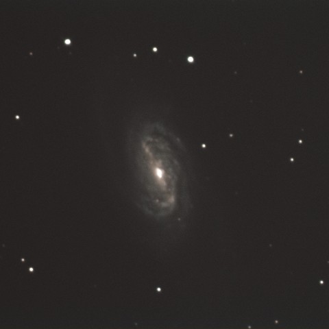 NGC2903