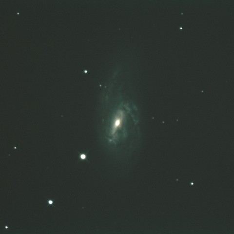 M66
