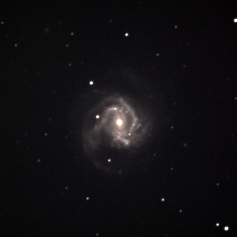 M61