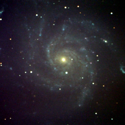 M101