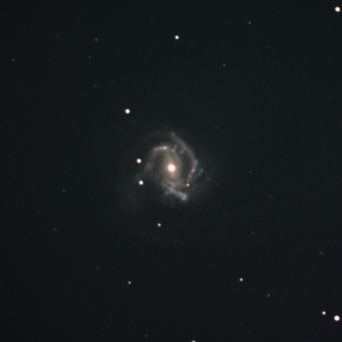 M61 with SN2020jfo
