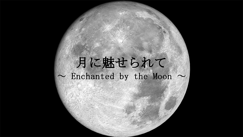 DVD動画「月に魅せられて」 DVD動画「月に魅せられて」