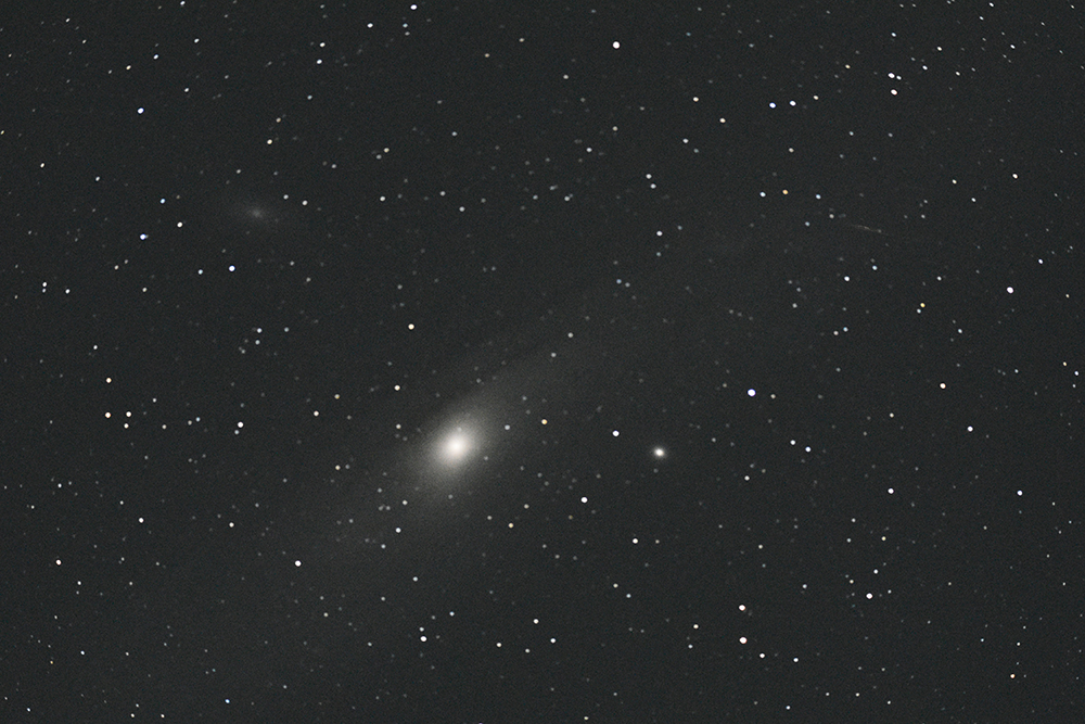 M31