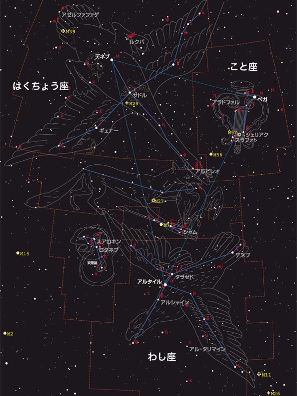 大 夏 三角 星座 の 夏の大三角と天の川を見てみよう！