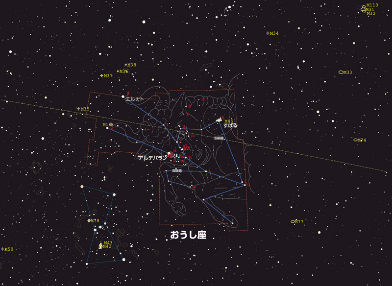 おうし座20番星