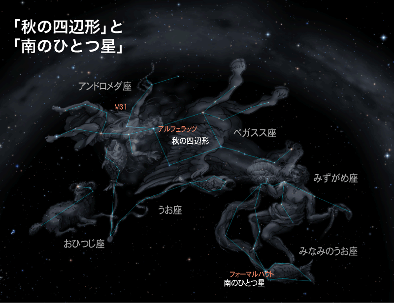 特集 秋の星空を楽しもう 秋の星座を探そう