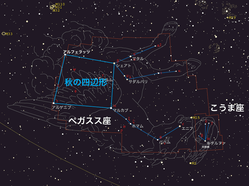 特集 秋の星空を楽しもう 秋の星座を探そう