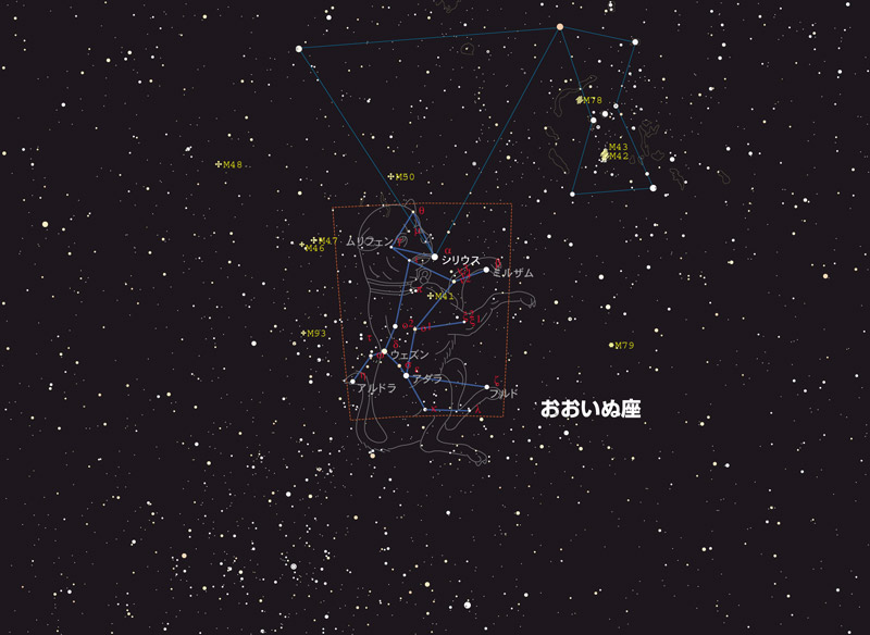 特集 冬の星空を楽しもう 冬の星座を探そう