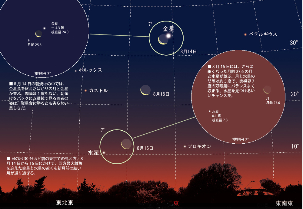 特集 8月15日 16日 金星 水星が西方最大離角