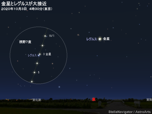 明け方の空で輝く金星のようなイエローダイヤモンド　蛍光も素敵！