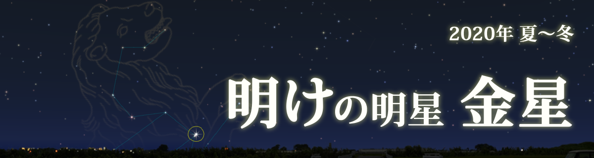 【特集】明けの明星 金星（2020年 夏～冬）