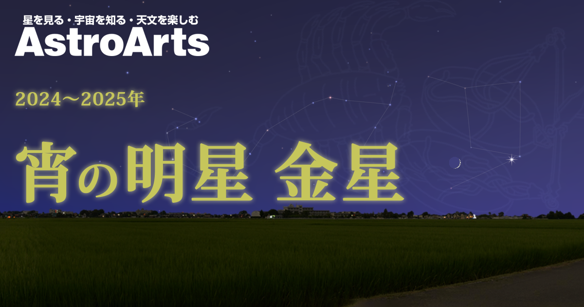 #『1番星』　#宵の明星 特集】宵の明星 金星（2024～2025年） - アストロアーツ