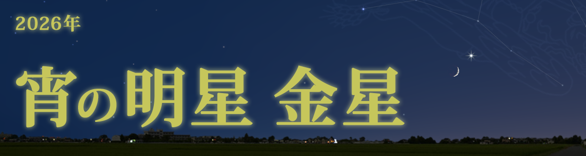 【特集】宵の明星 金星（2026年）